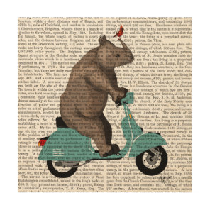 Rhino on Moped Wood Wall Art