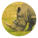 Rhino Photo Sticker