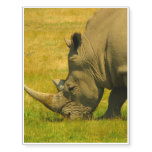 Rhino Photo Temporary Tattoos