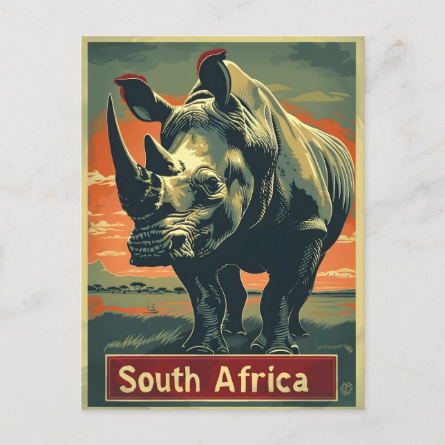 Rhino South Africa Vintage Postcard (Front)