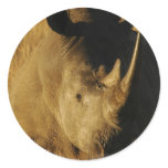 Rhino Sticker