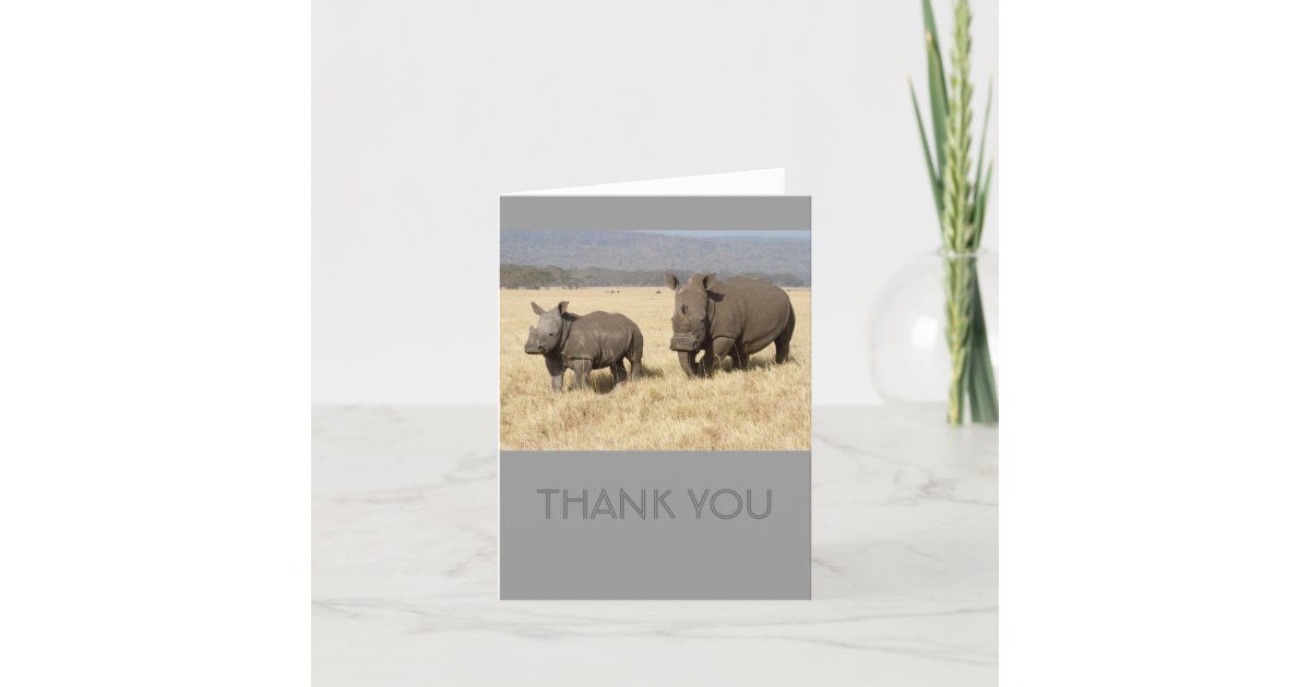 Rhino Thank You Cards | Zazzle.com