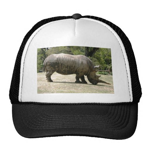 Rhino Trucker Hat | Zazzle