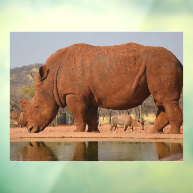 Rhino with mud on skin photo window cling (Sheet 3)