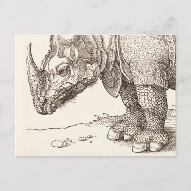 Rhino Woodcut Postcard (Front)