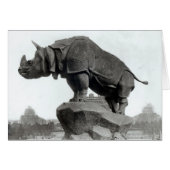 Rhinoceros (Front Horizontal)