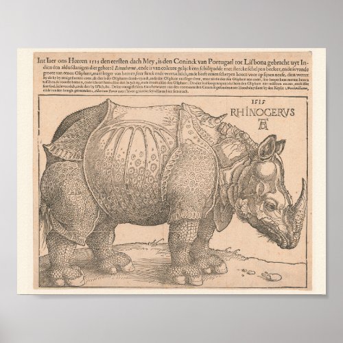 Rhinoceros _  Albrecht Drer 1515 Woodcut Gravure Poster