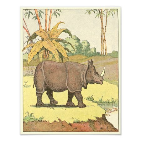 Rhinoceros At The Watering Hole Illustrated Photo Print