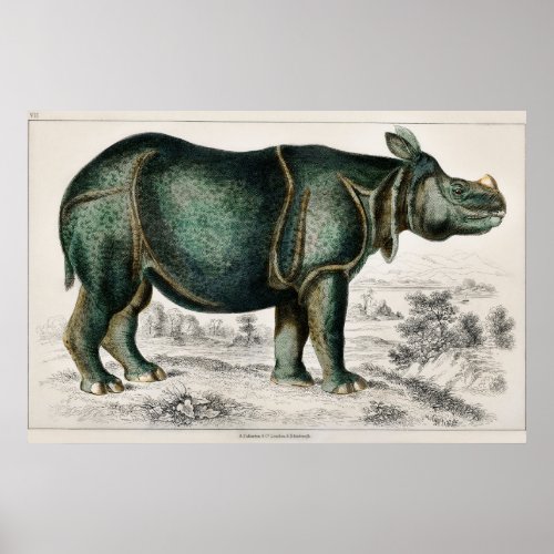 Rhinoceros by Oliver Goldsmith Poster