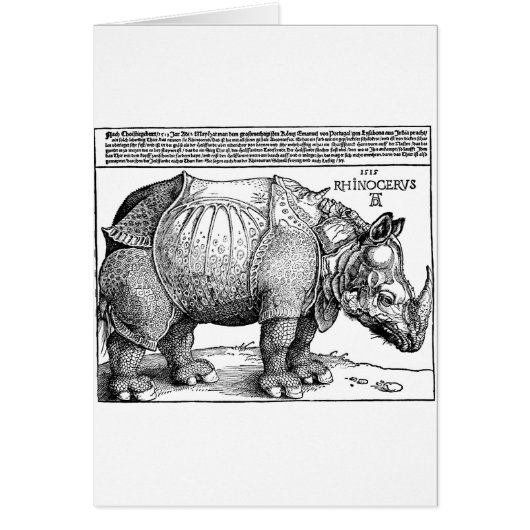 rhinoceros cards (Front)