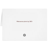 Rhinoceros Cards (Back Horizontal)