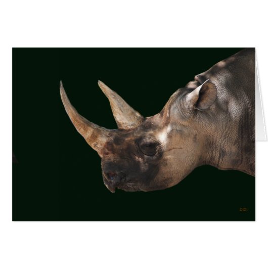 Rhinoceros Cards (Front Horizontal)