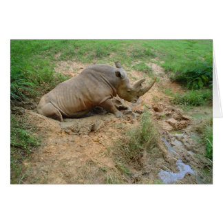 Rhinoceros Cards