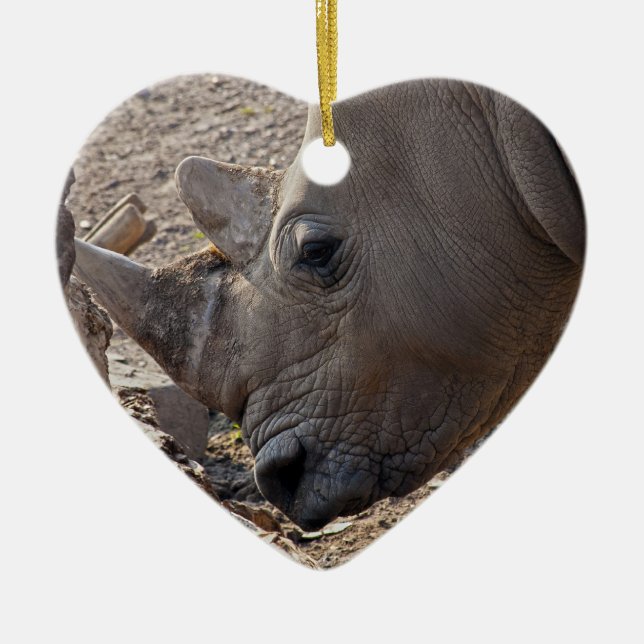 Rhinoceros Ceramic Ornament (Front)