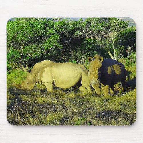 Rhinoceros Couple Wildlife Photography Mouse Pad