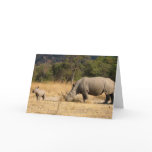 Rhinoceros Family Greeting Card