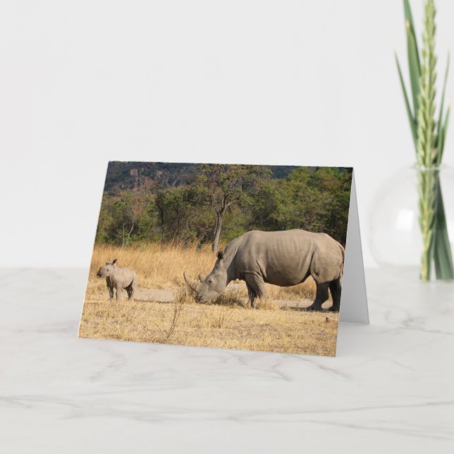 Rhinoceros Family Greeting Card (Front)