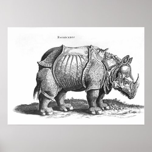 Rhinoceros from Historia Animalium Poster