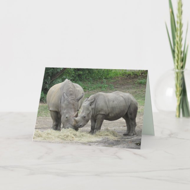 Rhinoceros Greeting Card (Front)
