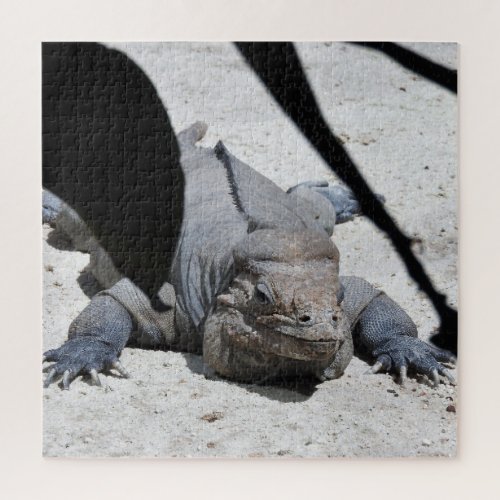 Rhinoceros Iguana Jigsaw Puzzle