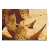 Rhinoceros Love (Front Horizontal)