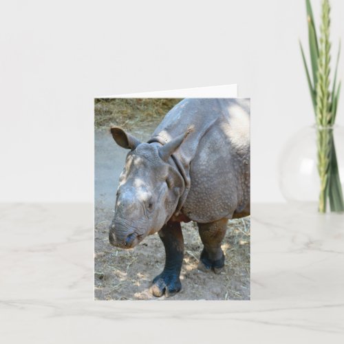 Rhinoceros Photo Folded Note Card