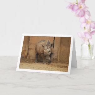 Rhinoceros Portrait Card