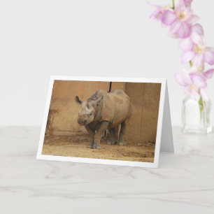 Rhinoceros Portrait Card