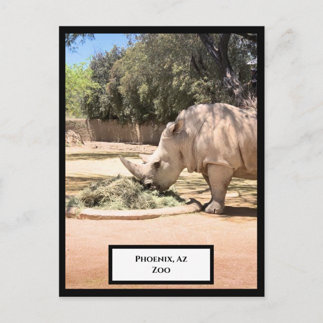 Rhinoceros Postcard (Front)