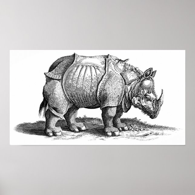Rhinoceros Poster (Front)