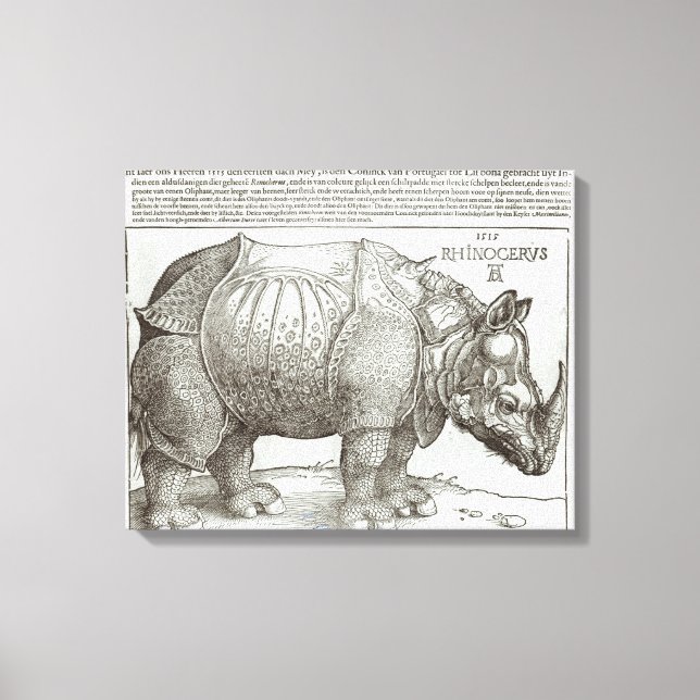 Rhinoceros, print given to Maximilian I (1459-1519 (Front)