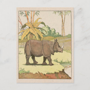 Rhinoceros Story Book Drawing Postcard