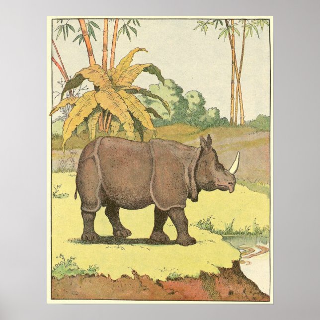 Rhinoceros Story Book Illustrated Poster (Front)