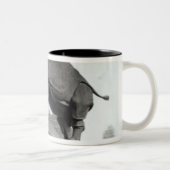 Rhinoceros Two-Tone Coffee Mug (Right)