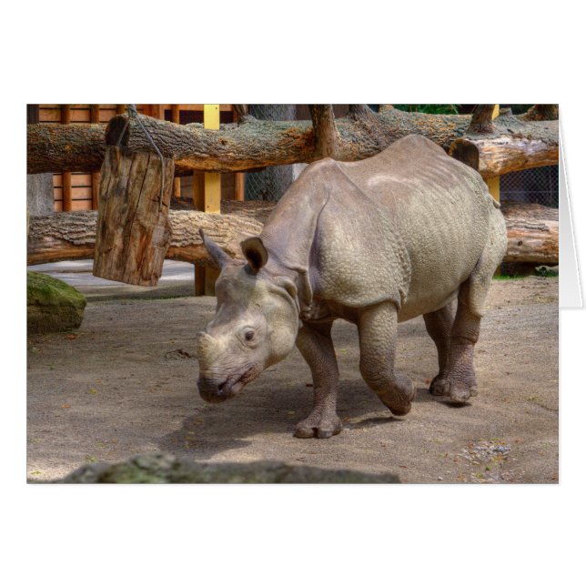 Rhinoceros unicornis cards (Front Horizontal)
