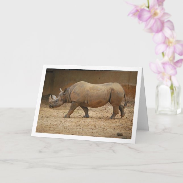 Rhinoceros Walking Card (Orchid)