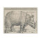 Rhinoceros, Woodcut by Albrecht Durer