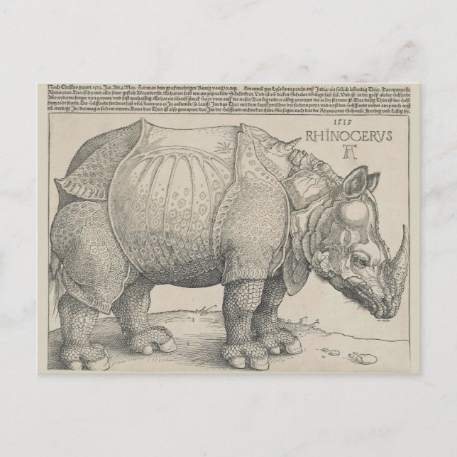 Rhinoceros, Woodcut by Albrecht Durer Postcard (Front)