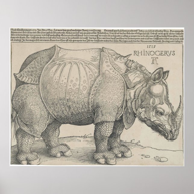 Rhinoceros, Woodcut by Albrecht Durer Poster (Front)