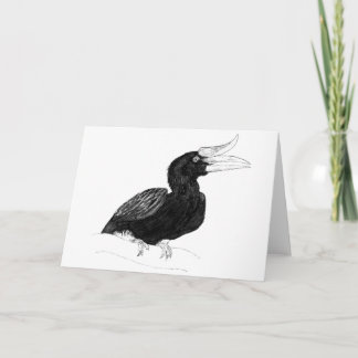 Rhinocerous Hornbill by Odin Card