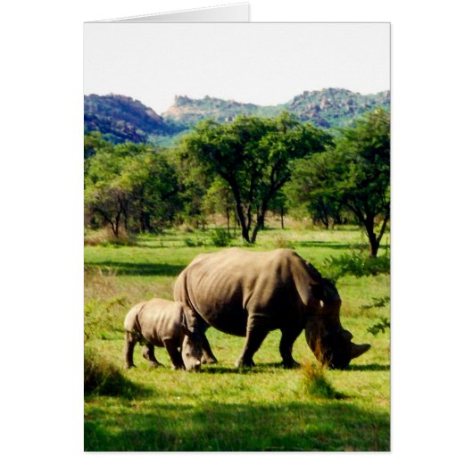 rhinos cards (Front)