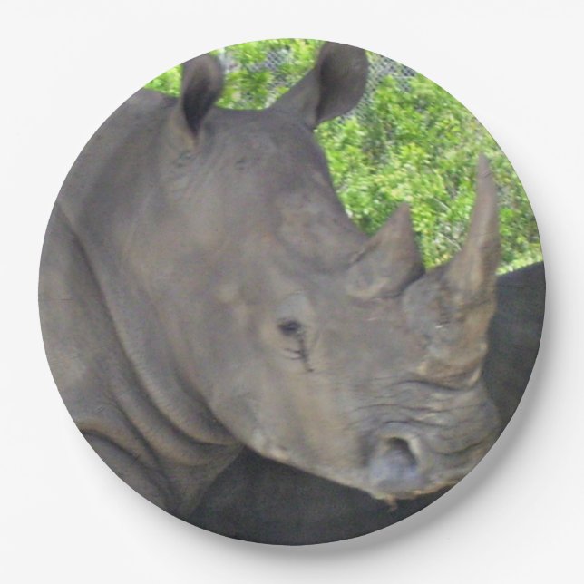 Rhino's Face Paper Plates (Front)