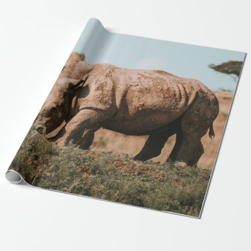 RHINOS IN AFRICA GRAZING WRAPPING PAPER