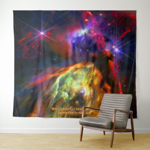 Rho Ophiuchi Cloud Complex - James Webb NIRCam Tapestry