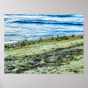 Rhode Island Beach Landscape Photo Poster