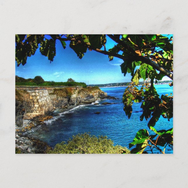 Rhode Island, Newport Cliff Walk - Postcard (Front)