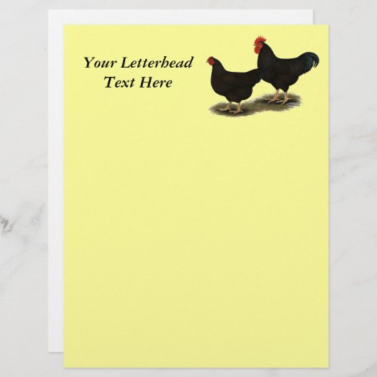 Rhode Island Red Bantams (Front/Back)