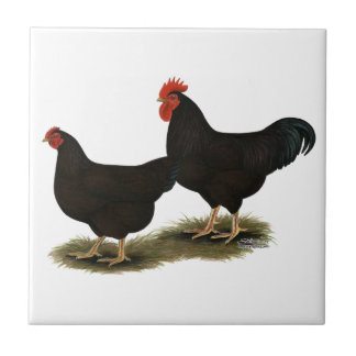 Rhode Island Red Bantams Ceramic Tile
