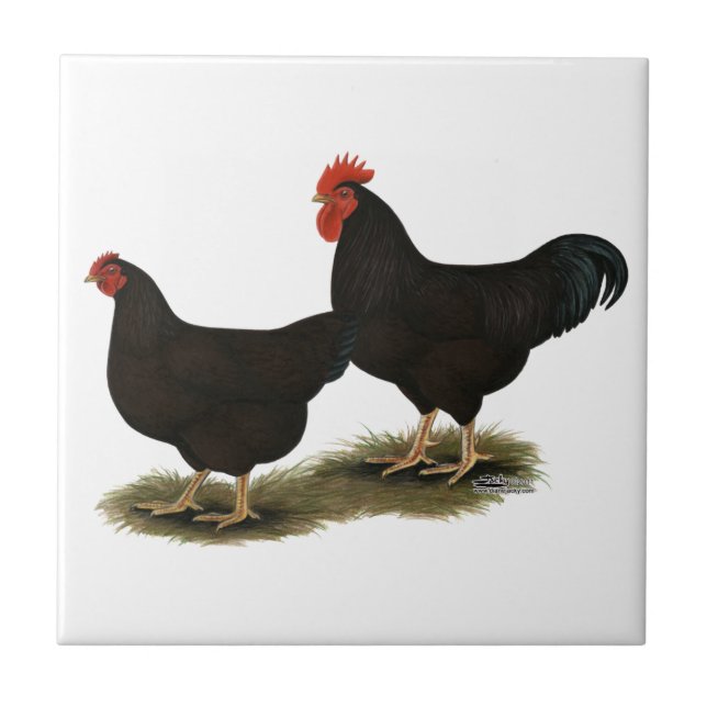 Rhode Island Red Bantams Ceramic Tile (Front)