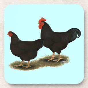 Rhode Island Red Bantams Coaster